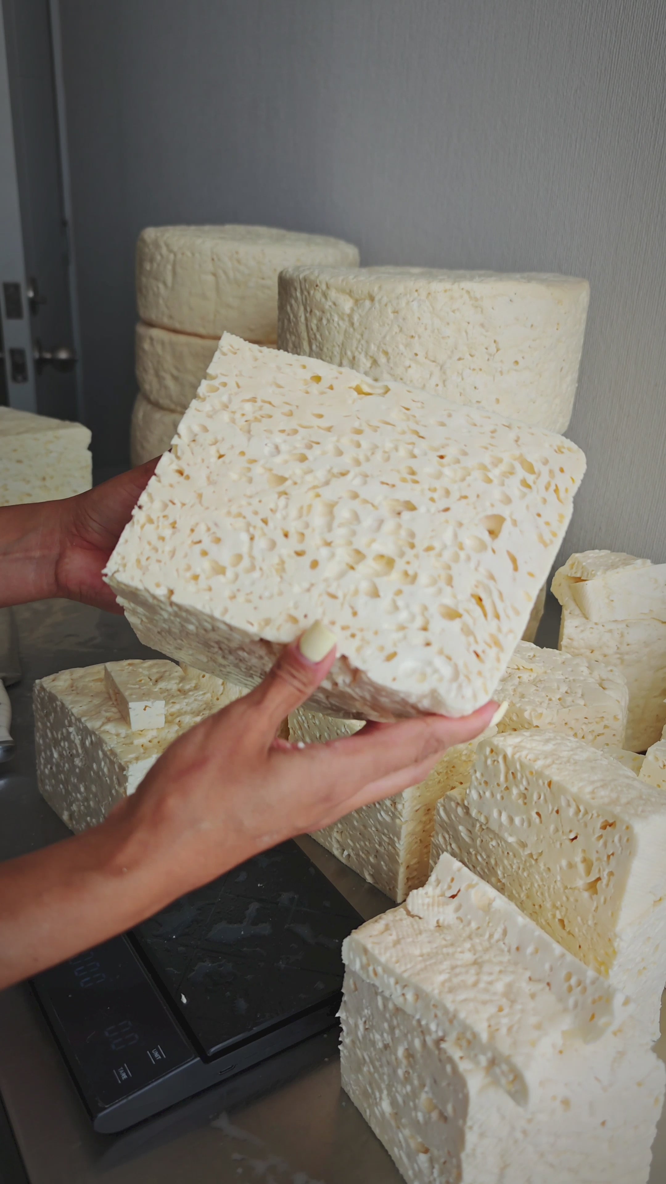 Queso Palmita Real